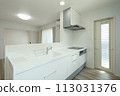 Stylish kitchen room image 113031376