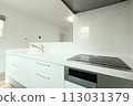 Stylish kitchen room image 113031379