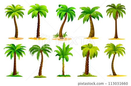 Cartoon jungle palm trees, coconut and banana tropical plants set. Isolated vector palms with tall and slender trunks, swaying in the breeze green fronds. Exotic paradise vegetation, game elements 113031660