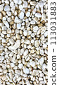 white gravel wallpaper texture 113031883