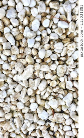 white gravel wallpaper texture white gravel wallpaper texture 113031883