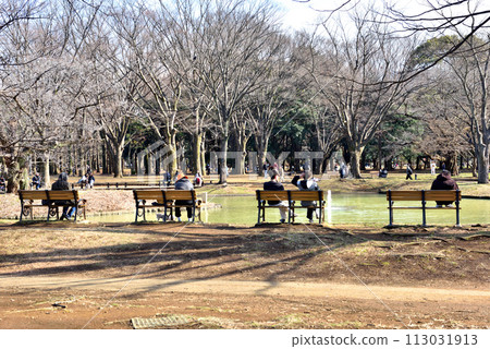 人們在代代木公園的長椅上休息 113031913