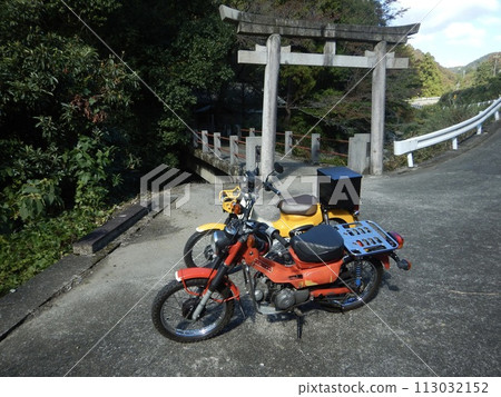 騎著旅行自行車奔跑的幼崽 騎著旅行自行車奔跑的幼崽 113032152