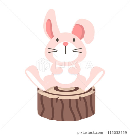 Bunny Rabbit sitting on Wood 113032339