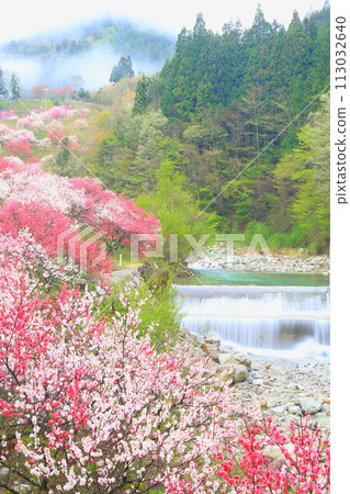 月岡溫泉鄉/花桃之鄉 月岡溫泉鄉/花桃之鄉 113032640