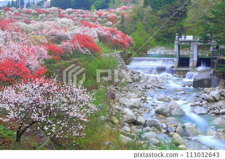 Tsukioka Onsen Village/Hanamomo Village Tsukioka Onsen Village/Hanamomo Village 113032643