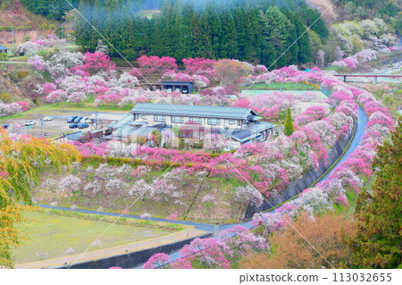 月岡溫泉鄉/花桃之鄉 月岡溫泉鄉/花桃之鄉 113032655