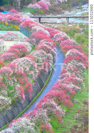 Tsukioka Onsen Village/Hanamomo Village 113032660