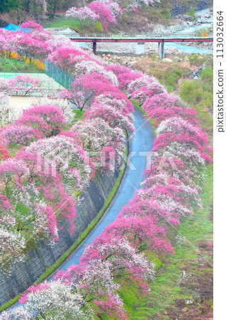 Tsukioka Onsen Village/Hanamomo Village 113032664