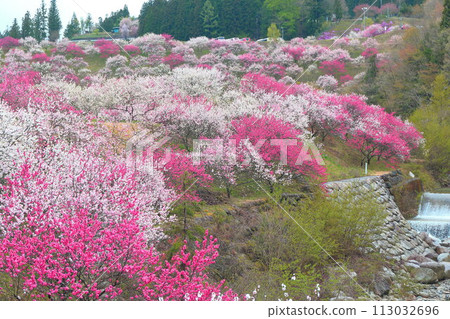 Tsukioka Onsen Village/Hanamomo Village 113032696