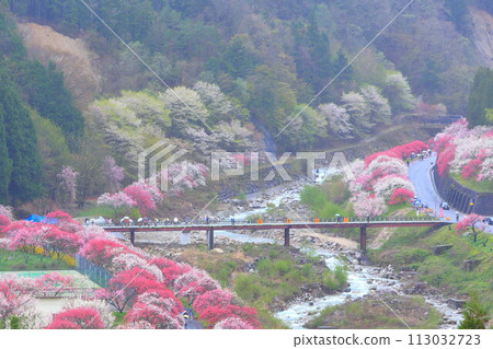 Tsukioka Onsen Village/Hanamomo Village Tsukioka Onsen Village/Hanamomo Village 113032723