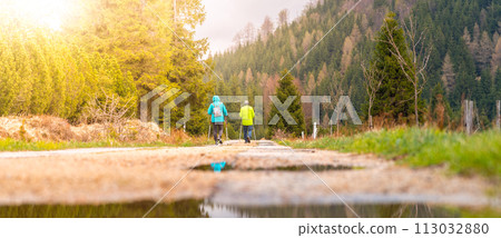 An elderly couple walks with trekking poles along a forest trail after rain, bathed in the warm glow of the setting sun, indicating an active lifestyle and connection with nature. 113032880