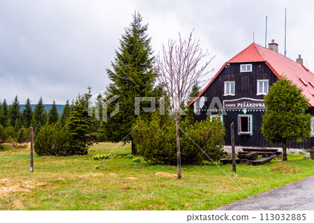 The Pesakovna wooden cottage stands surrounded by lush greenery and coniferous trees in the serene Jizerka village, under a cloudy sky. 113032885