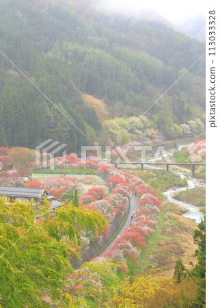 月岡溫泉鄉/花桃之鄉 月岡溫泉鄉/花桃之鄉 113033328