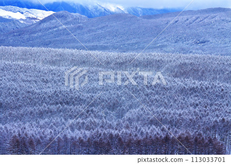 蓼科町冬山的景色 蓼科町冬山的景色 113033701