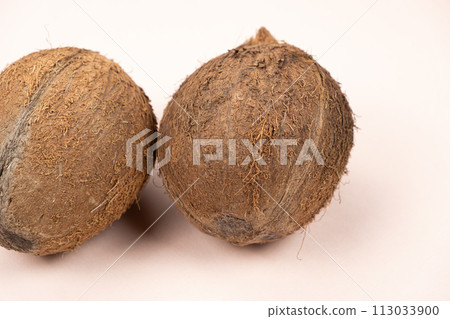 Two brown coconuts close-up on pink background 113033900