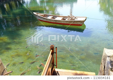 [Kagawa Prefecture] A school of sea bream swimming in Takamatsu Castle's moat "Tamamo Pleasure Boat Pier" (Tamamo Park) 113034181