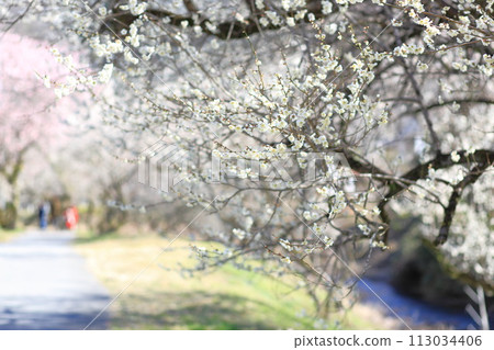 Landscape of Tokyo Takao Umego (Promenade Bairin) 113034406