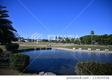 藍天辻堂海濱公園 藍天辻堂海濱公園 113034598