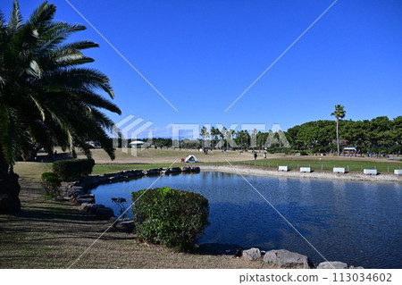 藍天辻堂海濱公園 藍天辻堂海濱公園 113034602