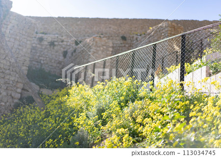 伊維薩島風景 113034745