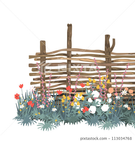 Flowers and wicker fence made of flexible willow or hazel wood, vector isolated illustration. Rustic wooden fence, countryside border design element. Flowers and wicker fence made of flexible willow or hazel wood, vector isolated illustration. Rustic wooden fence, countryside border design element. 113034768