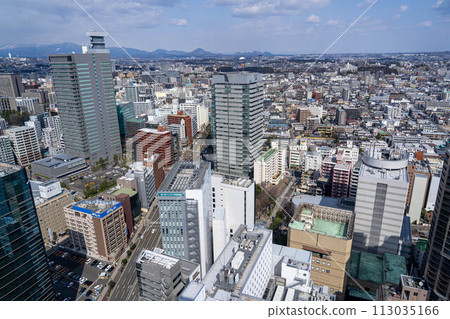Sendai cityscape seen from the AER observation terrace Sendai cityscape seen from the AER observation terrace 113035166