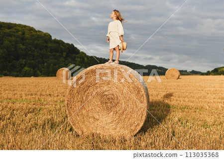 A girl on a bale of wheat 113035368