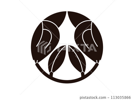 split tea fruit 113035866