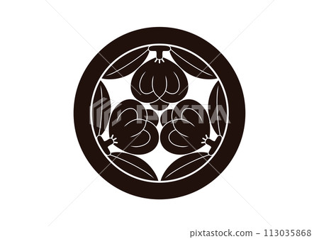 Sancha no Mi in a circle Sancha no Mi in a circle 113035868