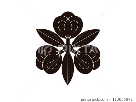 味林多茶果 113035872