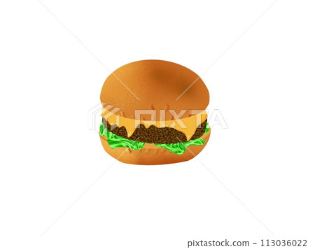Hamburger illustration 113036022