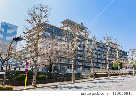 霞關外務省(北門側) 霞關外務省(北門側) 113036913