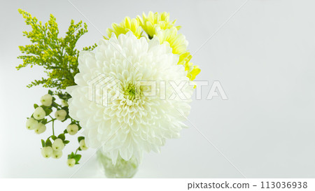 供白菊花、敬老日、佛教鮮花、影印空間 113036938