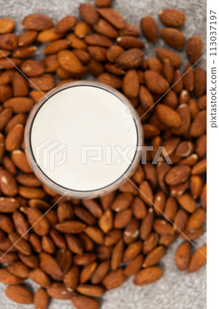Almond nut milk in a glass on a gray background, top view Almond nut milk in a glass on a gray background, top view 113037197
