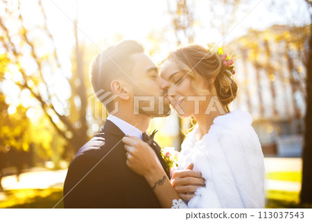 young and beautiful bride and groom enjoy each other. the smile in the shadow of a flying veil. young and beautiful bride and groom enjoy each other. the smile in the shadow of a flying veil. 113037543
