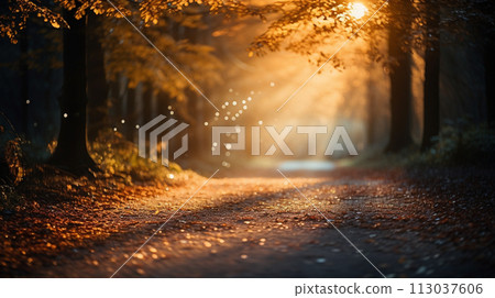 Sunset in the autumn forest. Beautiful nature... - Stock Illustration ...