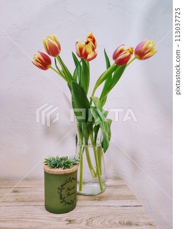 tulips, flowers, bouquet 113037725