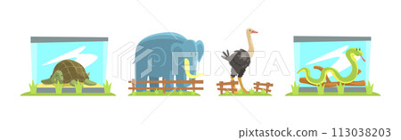 Zoo Animal and Wild Fauna Behind Fence Vector Set Zoo Animal and Wild Fauna Behind Fence Vector Set 113038203