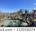 Japanese scenery (garden, nature, plants, shrines) 113038374