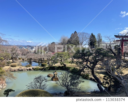 日本風景（庭園、大自然、植物、神社） 113038374