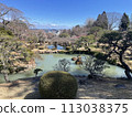 Japanese scenery (gardens, nature, plants, ponds) 113038375
