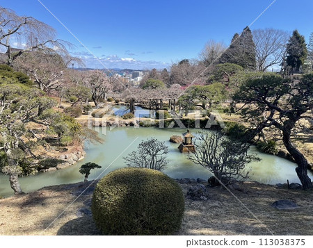 日本風景（庭園、大自然、植物、池塘） 113038375