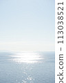 Calm sea, sparkling horizon 113038521