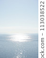 Calm sea, sparkling horizon 113038522