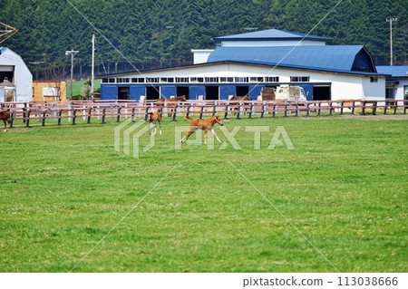 北海道新冠町的純種銀座風景 113038666