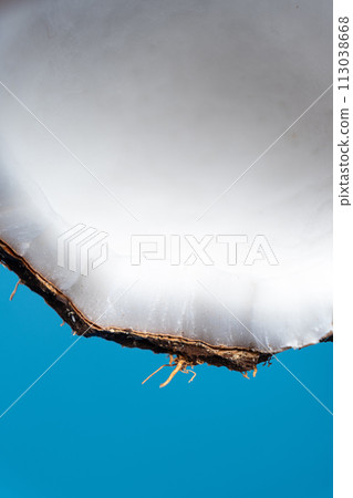 Macro coconut pulp and coconut husk on a blue background. Macro coconut pulp and coconut husk on a blue background. 113038668