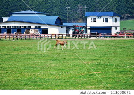 北海道新冠町的純種銀座風景 113038671