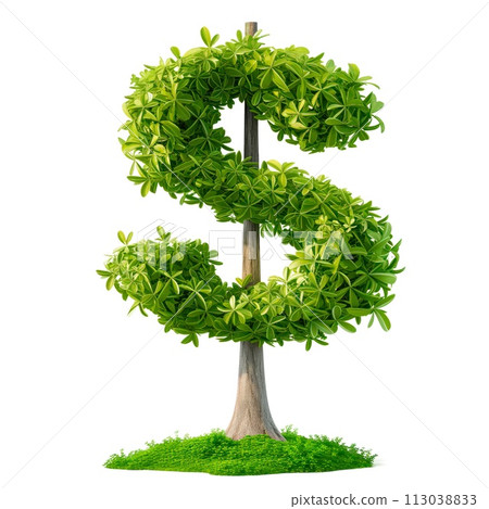 black raven zz plant for sale canada Zamioculcas/Zz Plant Raven 6