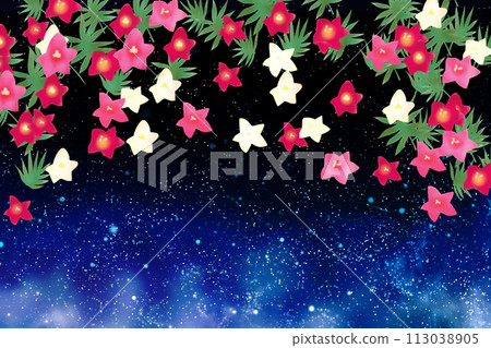 星空和紅草花卡 113038905